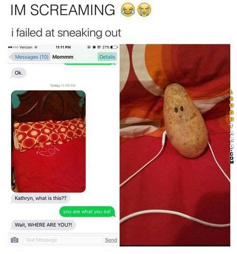 38 Potatoes Ideas In 2021 Funny Funny Pictures Funny Memes