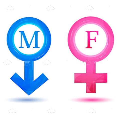 Pink And Blue Male And Female Icons Vectorjunky Free Vectors Icons Logos And More