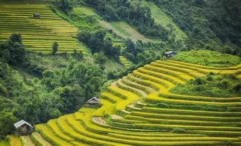 Mu Cang Chai Among Worlds 19 Most Beautiful Mountains Vietnam Insider