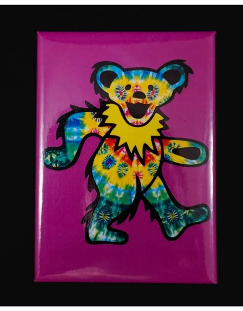 Grateful Dead Rainbow Bear Magnet Slightly Burnt Out
