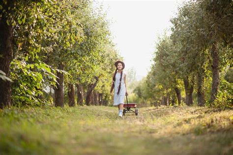 Girl With Apple In The Apple Orchard Stock Image Image Of Healthy