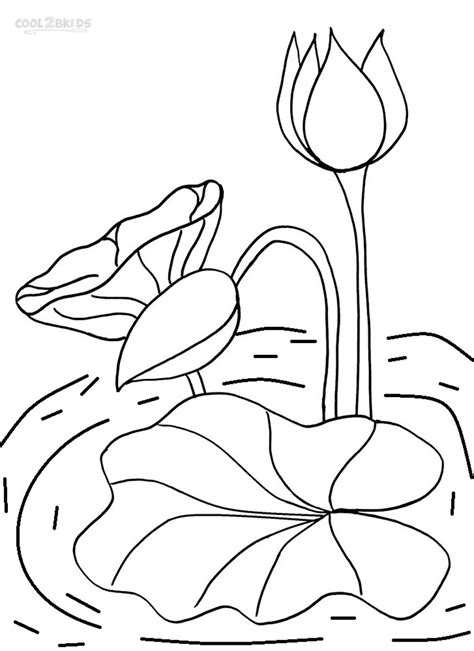 printable lily pad coloring pages  kids