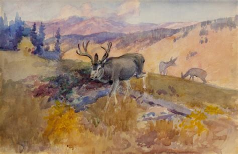 The company specialized in bringing to market drugs that had been discovered but unmarketed by. Blacktail Deer / Charles Marion Russell - Gilcrease Museum