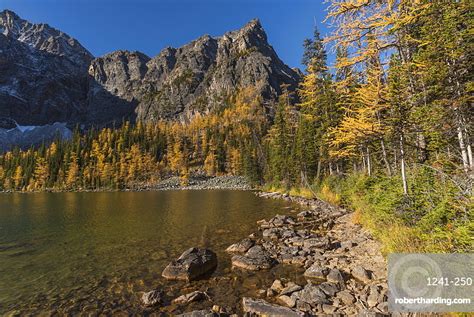 Arnica Lake In Autumn With Stock Photo