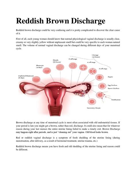 Reddish Brown Discharge By Brown Discharge Issuu