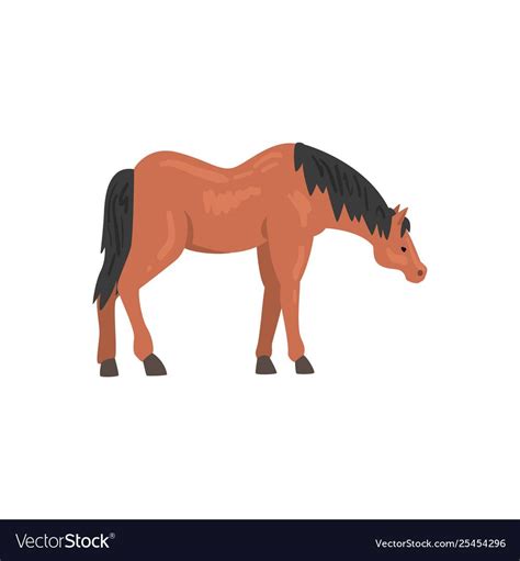 Brown Horse Animal Side View Royalty Free Vector Image Aff Animal