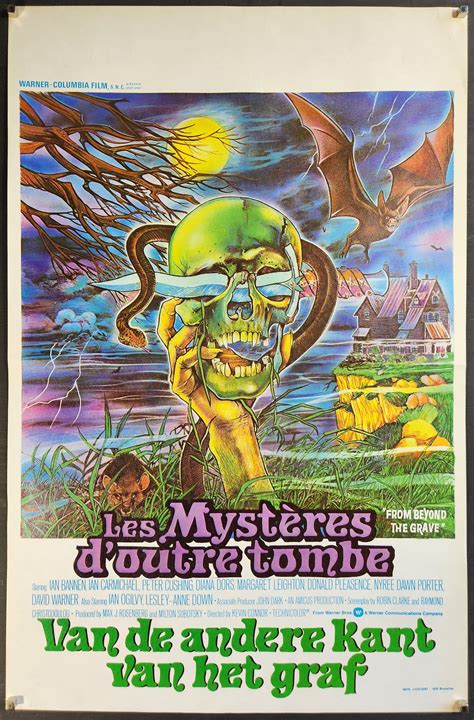 From Beyond the Grave-a Rare Original Vintage Movie Poster for - Etsy