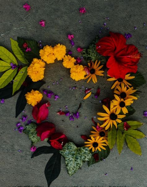 Besplatna Slika Dekoracija Cvijeće Oblik Srce Biljka Aranžman