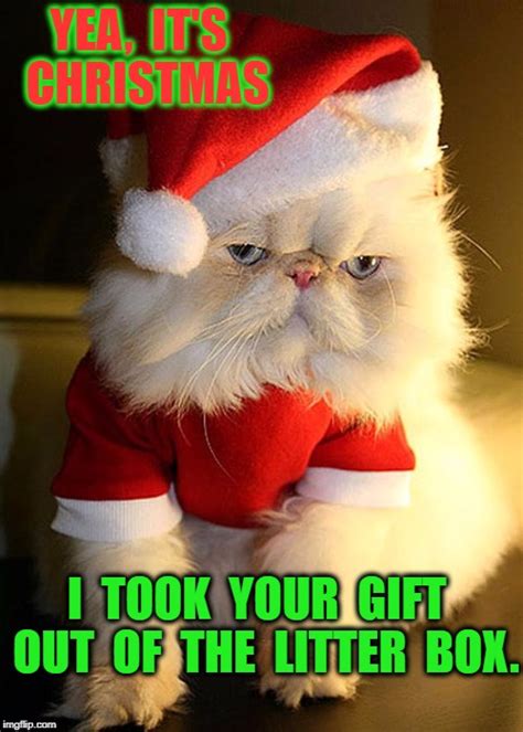 Santa Grumpy Cat Imgflip
