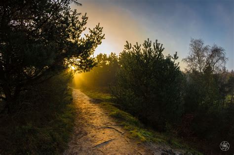 Sunrise Path By William Mevissen 500px Scenery Sunrise Country Roads
