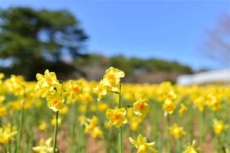High Resolution Desktop Wallpapers Widescreen HD ... We hope you enjoy our growing collection of hd images to use as a background or home screen for your smartphone or computer.
