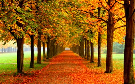 Autumn Free Wallpaper Autumn Colors Wallpapers Hd Wallpapers 93076