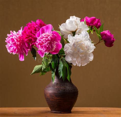 Peonies In Vase Stock Image Image Of Decoration Classical 40964757