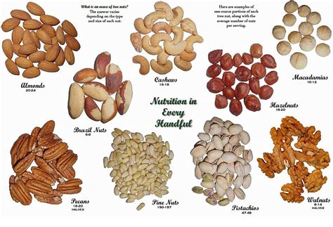 Types Of Dry Fruits With Images And Names