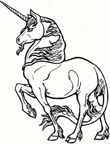 5 disegni da colorare l'unicorno. Unicorno, Disegni per bambini da colorare