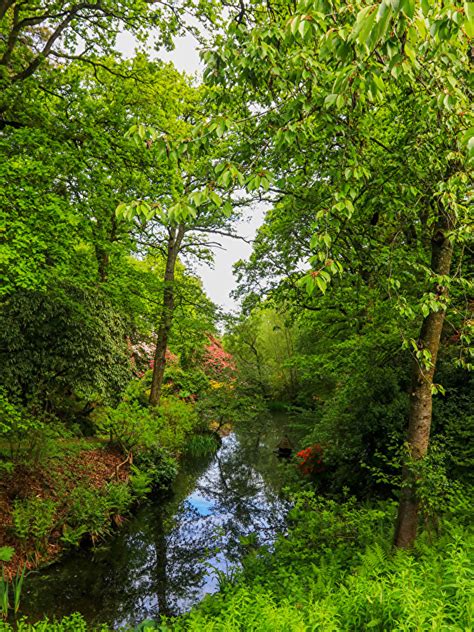 Photo England Ramster Gardens Surrey Nature Parks River 600x800
