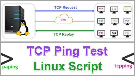 How To Ping A Specific Tcp Port In Linux Youtube
