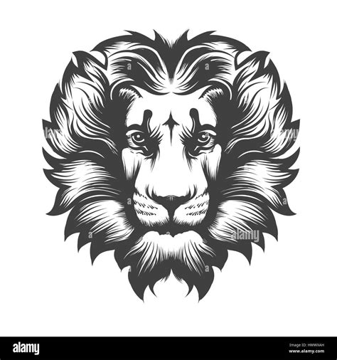 Lion Animal Vector Vectors Black And White Stock Photos And Images Alamy