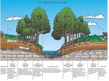 Here you find 7 meanings of the word riparian habitat. Riparian Zone Definition | Video Bokep Ngentot