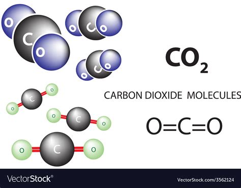 Carbon Dioxide Molecules Royalty Free Vector Image