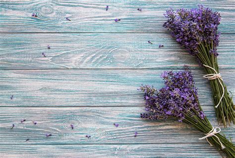 Fresh Flowers Of Lavender Featuring Lavender Background And Wood
