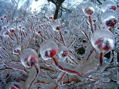 Eight Incredibly Beautiful Natural Ice And Snow Formations