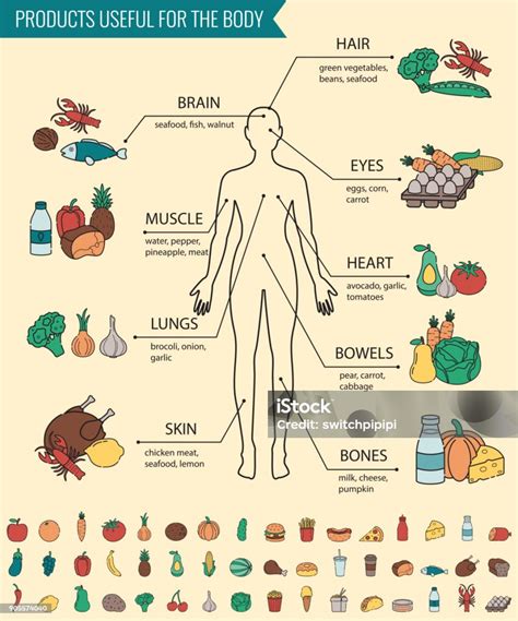 Healthy Food For Human Body Healthy Eating Infographic Food And Drink