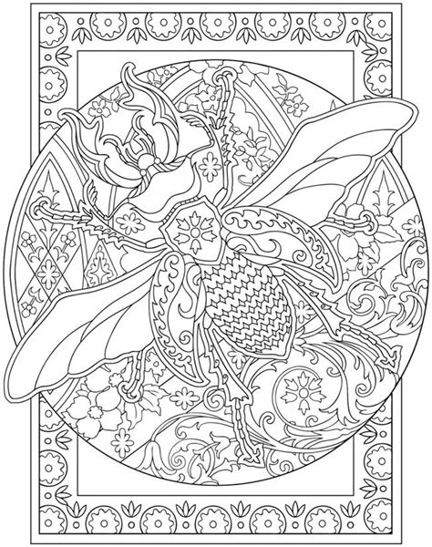 Realistic Insect Coloring Pages At Getdrawings Free Download