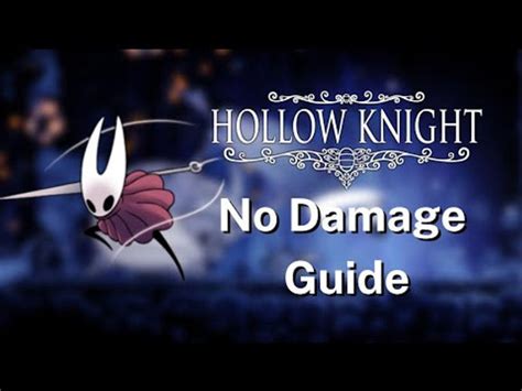 Hollow Knight Charm Combo Guide