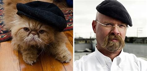 20 Cats That Freakishly Resemble Other Things