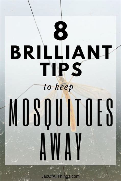 How To Keep Mosquitoes Away 8 Incredible Tips Jac Of All Things