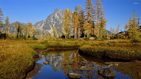 Autumn Trees In The Rocky Mountains Wallpaper Nature Wallpapers 46177