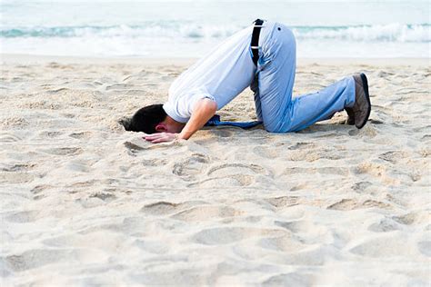 Royalty Free Head In The Sand Pictures Images And Stock Photos Istock