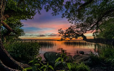 Wallpaper Paradise Landscape Trees Lake Dusk 1920x1200 Hd Picture Image