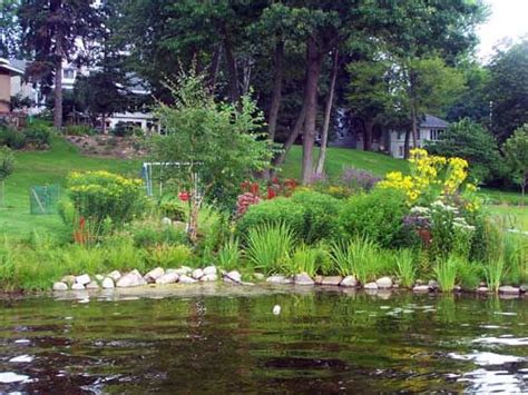 Going Native Can Be A Smart Choice For Michigan Landscapes Lake Landscaping Pond Landscaping