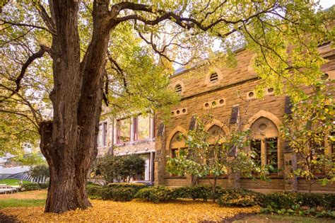 The university of melbourne has a rich and fascinating past spanning 160 years. Parkville campus