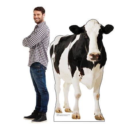 Cow Cardboard Standup | Cow, Cardboard standup, Animal party