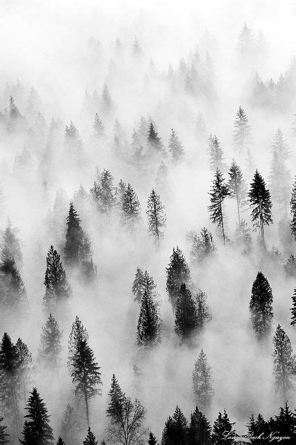 Hidden In The Fog Black And White Photographs White Photography