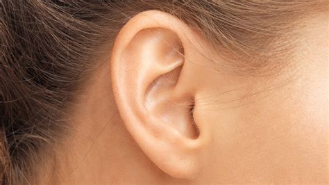 How The Human Ear Works Youtube
