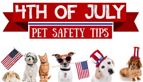 4th Of July Pet Safety Talbot Humane