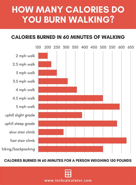 כן תחרותי עידוד Calories Burned Walking 1 Hour סליים לנקות טנטקל
