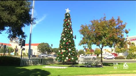 Christmas Tree Goes Up Outside Santa Maria City Hall