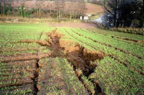 Soil Erosion By Rill Development On An Agricultural Field In The Uk