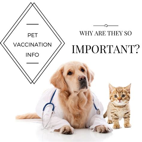 Ripley-Huron Veterinary Clinic - Veterinarian In Ripley, ON Canada