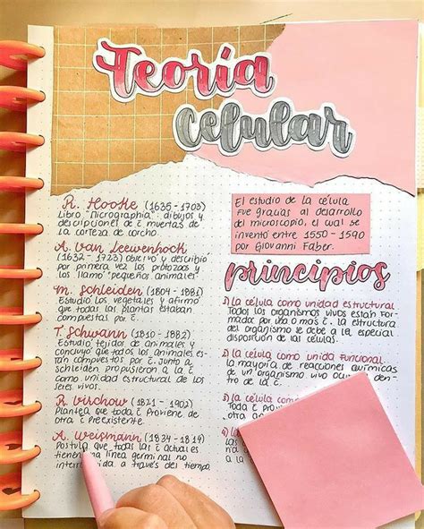 100 Ideas Para Hacer Tus Apuntes Libreta De Apuntes Titulos Bonitos