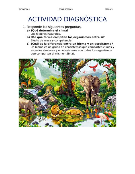 Ecosistema Que Es Tipos Y 101 Ejemplos Ovacen Factores Bioticos Y Images