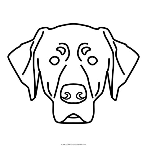 Coloring Page Lab Coloring Page Dog Coloring Page Dog