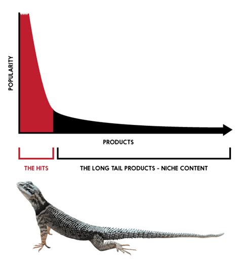 What Is Long Tail In Marketing Long Tail Theory Explained Feedough