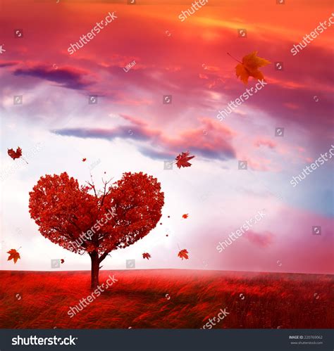 Autumn Landscape With Heart Shape Tree Stock Photo 220769062 Shutterstock