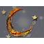 Moon Signs Astrology  AstroManda